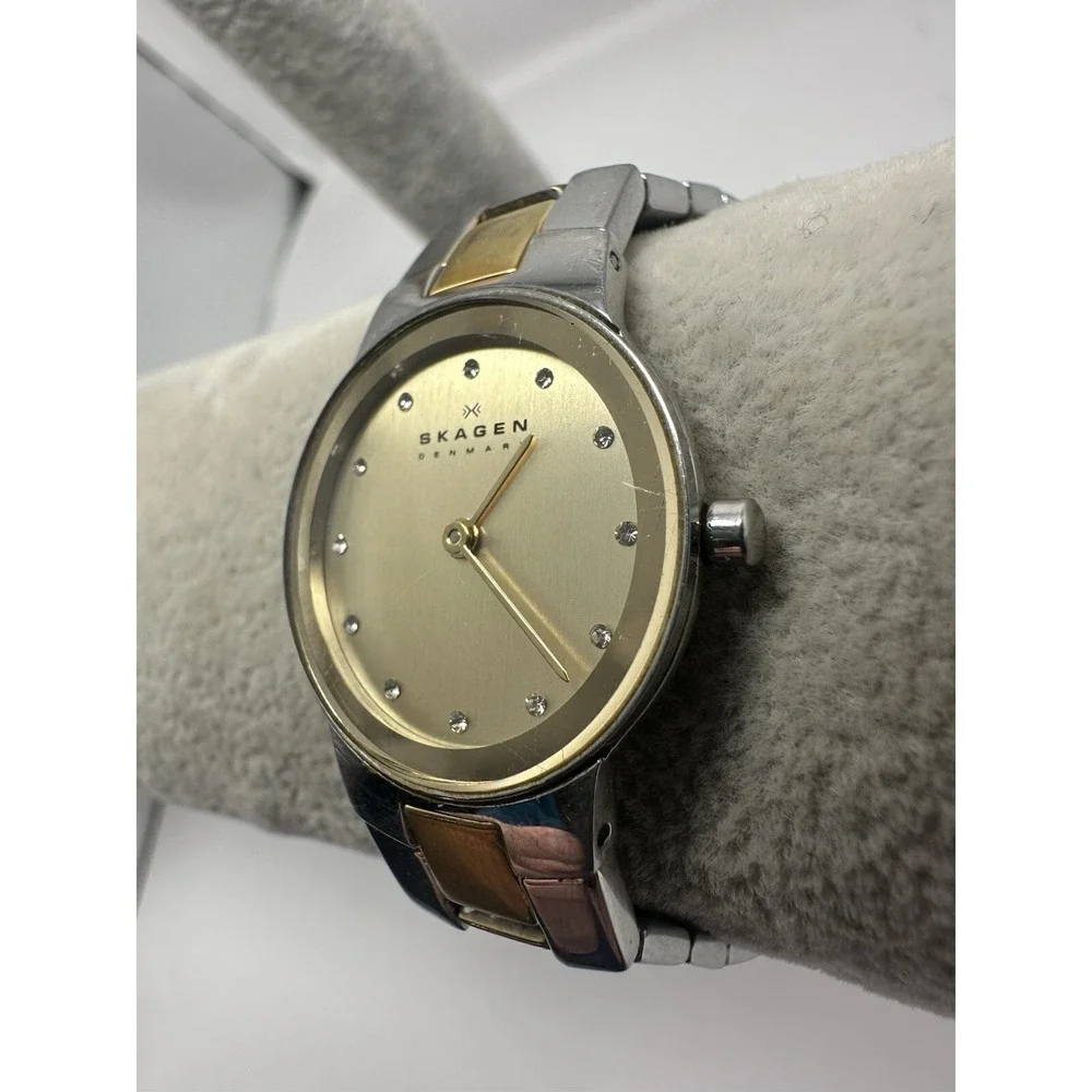 Skagen SKW2090‎ Ladies Watch New Battery 25MM 6.75
